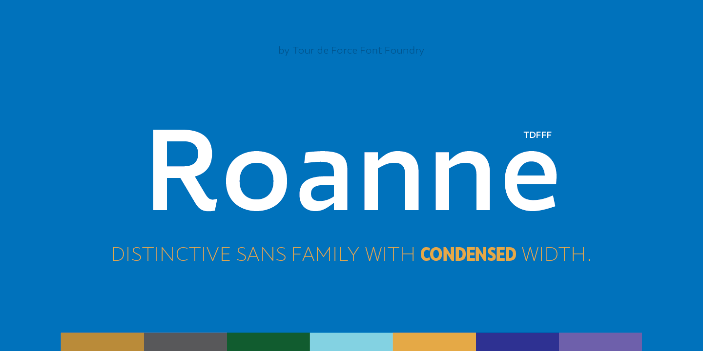 Fuente Roanne Condensed